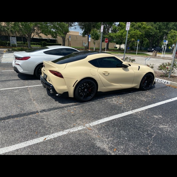 Meet your Posher, Sebastian - Picture 1 of 1